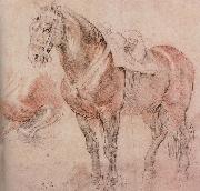 Peter Paul Rubens Horse oil painting on canvas